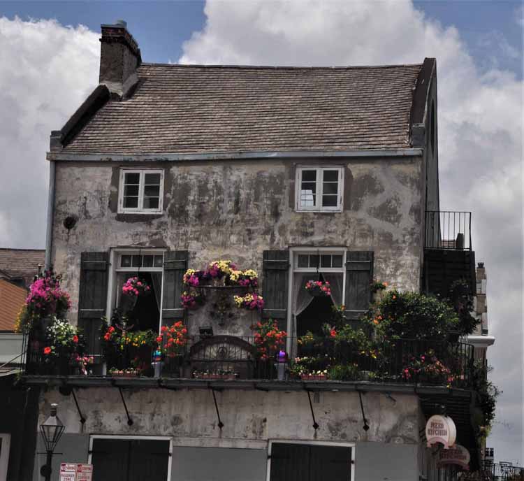 house with flowers